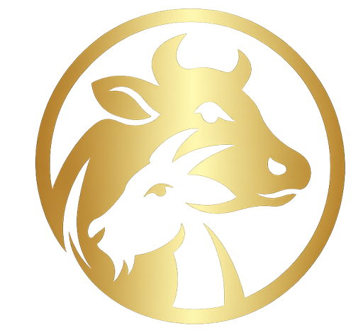 Favicon THI